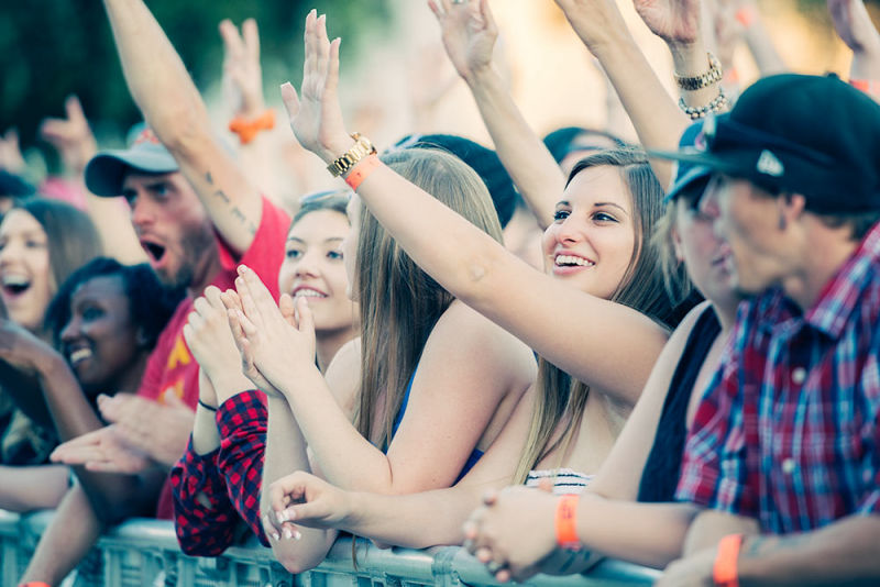 The crowd at a concert waving their arms franticly