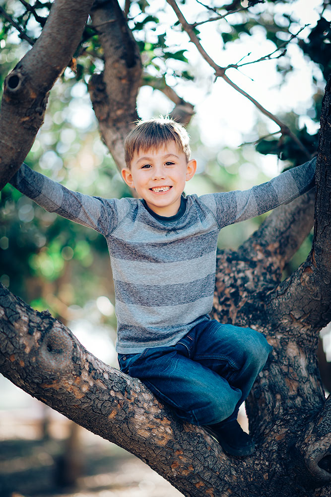 Little boy wearing blue sitting in a tree holding on during a pose