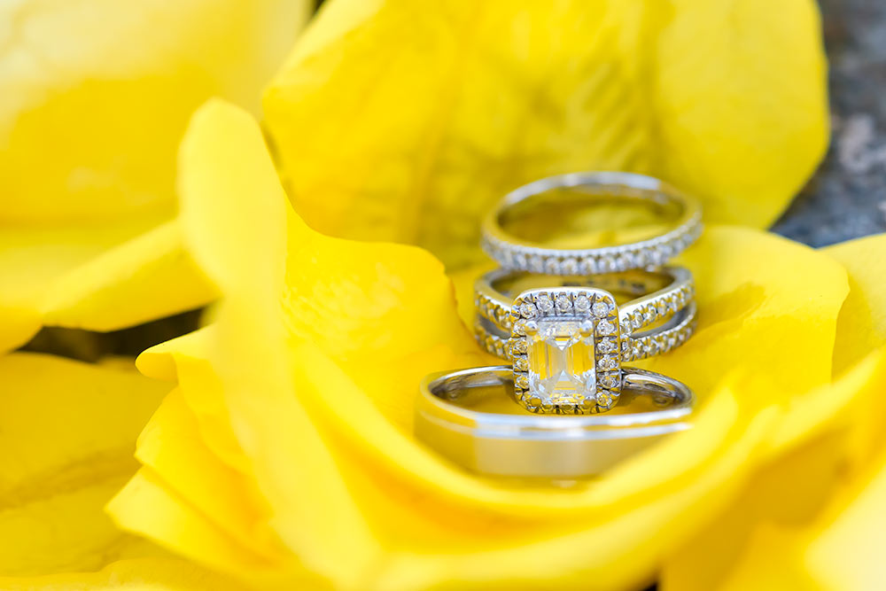A wedding couples' rings set upon a bed of yellow rose petals floating on the water