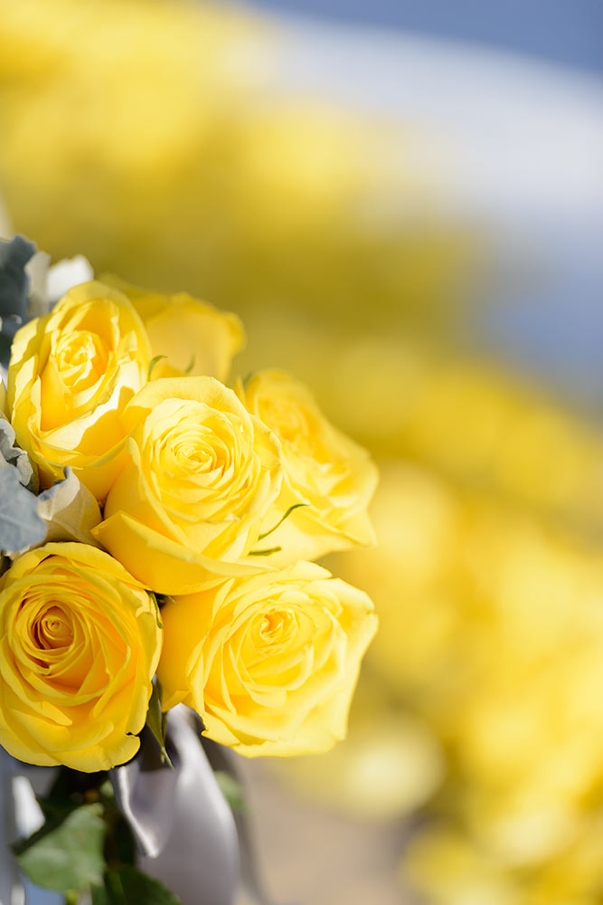 Close-up of yellow flowers at a wedding