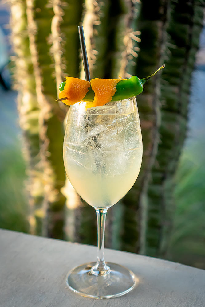 Spicy cocktail topped with a jalapeño in front of a green cactus